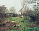 Jem Southam, 'The Pond at Upton Pyne