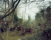 Jem Southam, 'The Pond at Upton Pyne