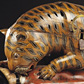 Tippoo's Tiger, automaton with mechanical organ