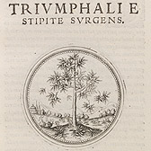 Symbolorum &amp; Emblematum, Joachim Camerarius