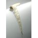 Swaddling band Swaddling band