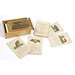 Card game - The Good Child's Cabinet of Natural History Card game - The Good Child's Cabinet of Natural History