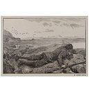 Shooting of Seals (Print)