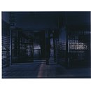 Untitled (Habitation XIII) (Print)