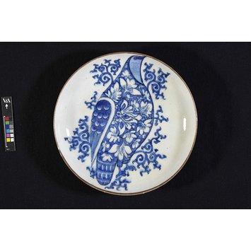 Plate Plate