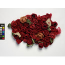 Sample - Bed of Roses