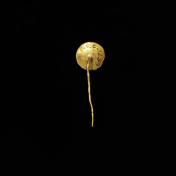 Pin, Hair ornament