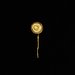 Pin, Hair ornament