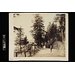 Photograph - Oakover, Simla; Simla