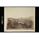 Simla; Simla, from Prospect Hill (Photograph) Simla; Simla, from Prospect Hill (Photograph)