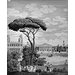 Wallpaper - Les Monuments de Paris