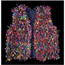 Rag Rug Waistcoat (Waistcoat)