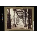 Interior view of the northern colonnade, Delhi (Photograph) Interior view of the northern colonnade, Delhi (Photograph)