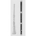 Flute Flute
