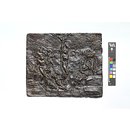 The Flaying of Marsyas (Plaquette)