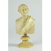 Bust