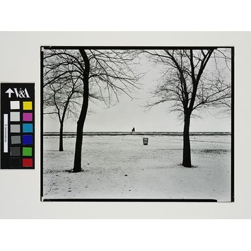 Photograph - Eleanor and Barbara; In the distance, with waste paper basket and trees Photograph - Eleanor and Barbara; In the distance, with waste paper basket and trees