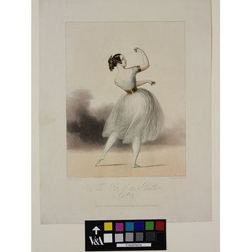 Print - The Pet of the Ballet. / No. 3.