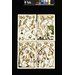 Polyptych - The Nativity; The Annunciation to the Shepherds; The Adoration of the Magi; The Presentation; Polyptych
