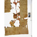 Fragments - The Stein Collection