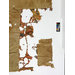 Fragments - The Stein Collection
