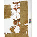 Fragments - The Stein Collection