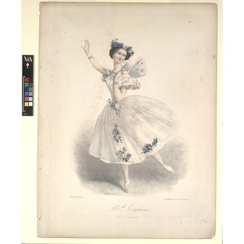 Print - Melle Taglioni / dans La Sylphide