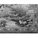 Chest - The Mazarin Chest Chest - The Mazarin Chest