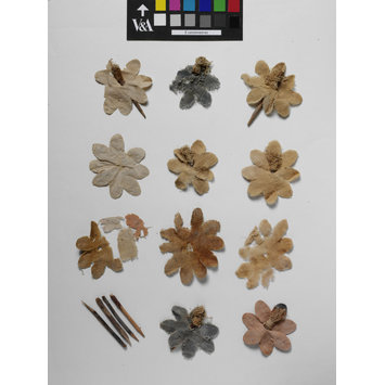 Fragments - The Stein Collection