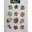 The Stein Collection (Fragments)