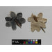 Fragments - The Stein Collection