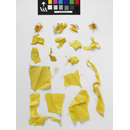 The Stein Collection (Fragments)
