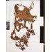 Fragments - The Stein Collection