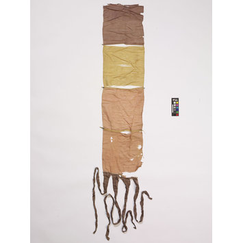 Banner fragment - The Stein Collection