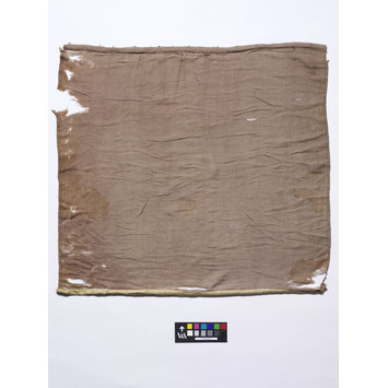 Banner fragment - The Stein Collection