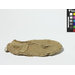 Shoe - The Stein Collection