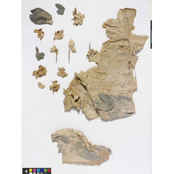 Fragment - The Stein Collection