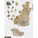 Fragment - The Stein Collection