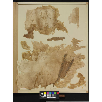 Fragments - The Stein Collection Fragments - The Stein Collection