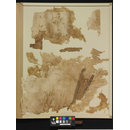 The Stein Collection (Fragments)