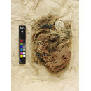 Fragments - The Stein Collection