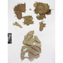 The Stein Collection (Fragments)