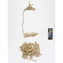 The Stein Collection (Banner fragments) The Stein Collection (Banner fragments)