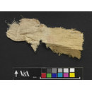 The Stein Collection (Fragment)