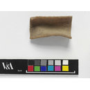Fragment - The Stein Collection