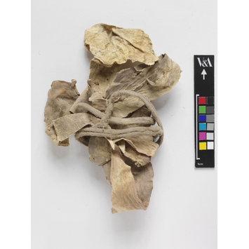 Fragments - The Stein Collection