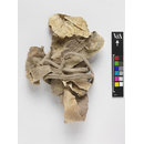 Fragments - The Stein Collection