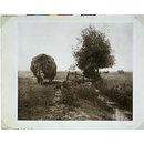 In the Haysel; Pictures of East Anglian Life (Photograph) In the Haysel; Pictures of East Anglian Life (Photograph)