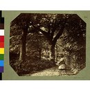 Photograph - Isabella Maude walking in the woods, Dundrum; Photographic Study