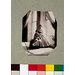 Photograph - Clementina and Isabella Grace Maude, 5 Princes Gardens; Photographic Study